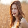 Page Banner