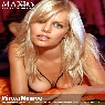 Page Banner